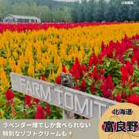 富良野のラベンダー畑は夏も見どころ満載！