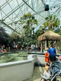 ［田納西旅遊］Tennessee Aquarium-心目中第一名的水族館🐠🦈🪼🐊🦋