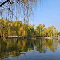 來趟圓明園的歷史與自然之旅
