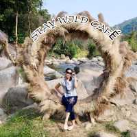 ☕ Stay Wild Café 