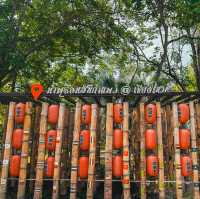 น้ำพุร้อนสันกำแพง แม่ออน เชียงใหม่