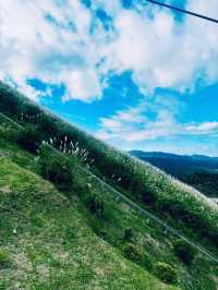 【日本伊東】大室山登山吊椅：伊豆半島美景，遠眺富士山