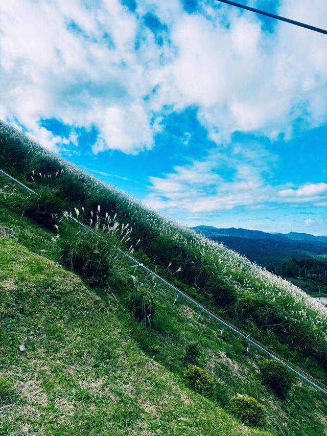 【日本伊東】大室山登山吊椅：伊豆半島美景，遠眺富士山