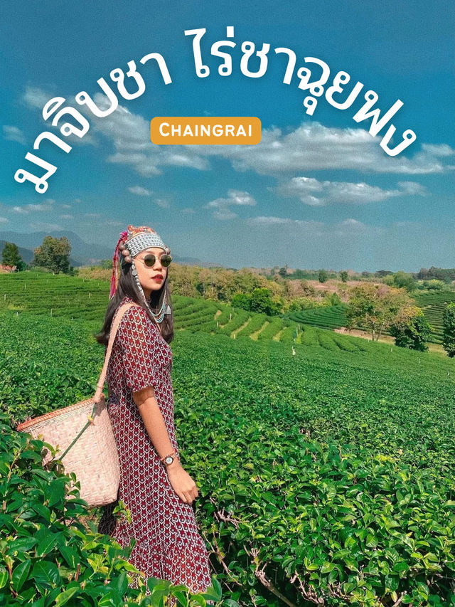 จิบชาชมวิวปังไม่ไหวที่ไร่ชาฉุยฟง เชียงราย🍵🌱🌱