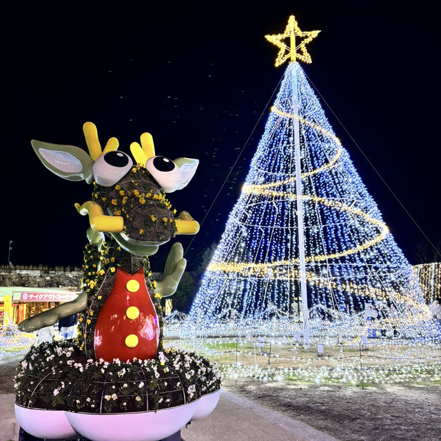 🇯🇵【香川県】国営さぬきまんのう公園！イルミネーション