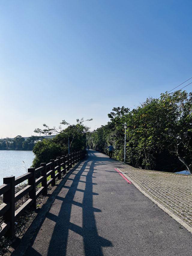 ［桃園旅遊］桃園埤塘1-16號池💧桃園小秘境