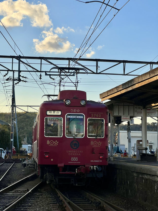日本和歌山 貓站長貓列車貴志站🚃