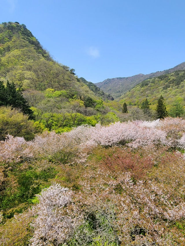 정읍