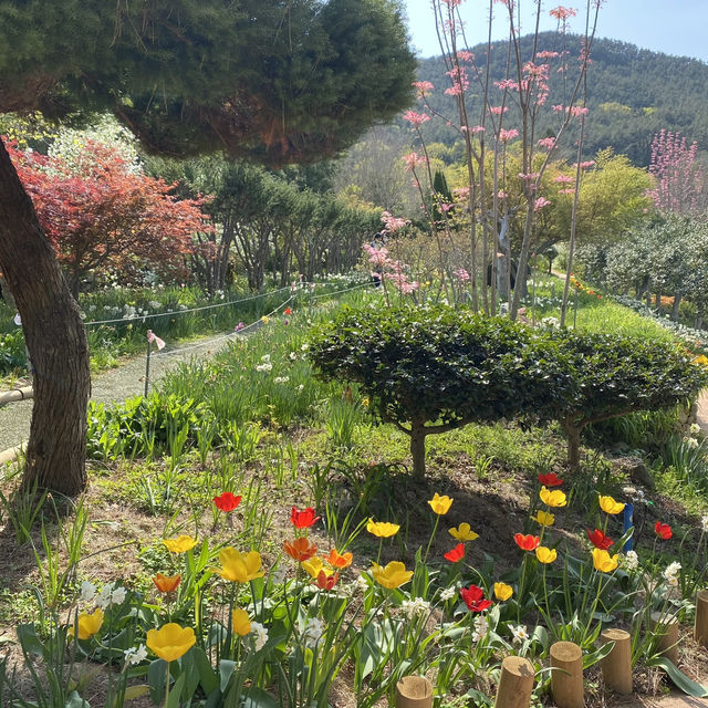 힐링이 필요할 땐 통영 ‘산유골 수목공원’ 🌳✨