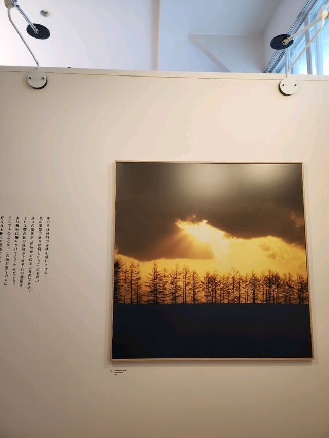 최고의 사진을 감상할수있는 탁신관갤러리❄️💙