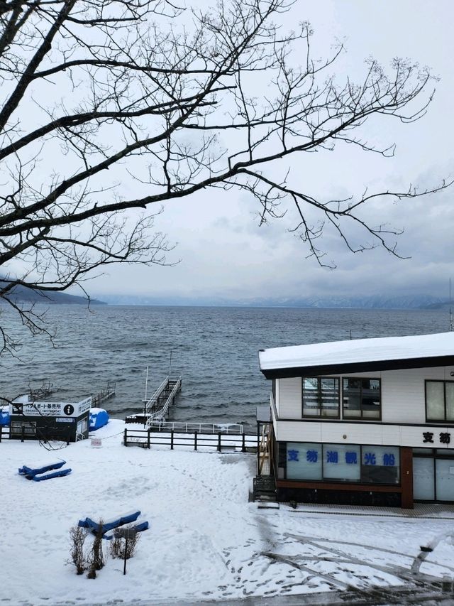 확트인 뷰가 인상적인 여유로운 시코츠호수🏞