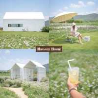19 Cafe Hopping เขาใหญ่ ปากช่อง 