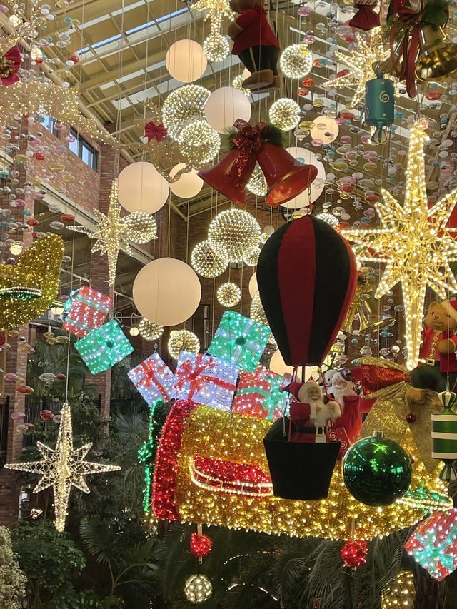 일산 대표 크리스마스 트리 감성카페 포레스트아웃팅스♥️