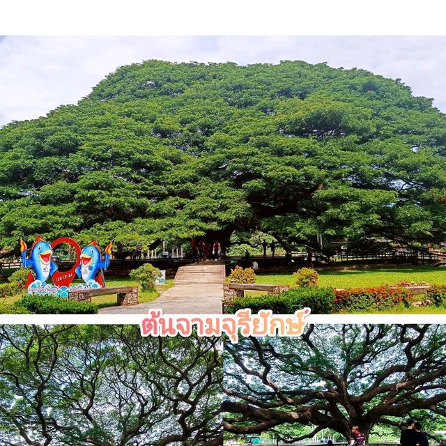 เที่ยวเมืองกาญจนบุรี ทริป2