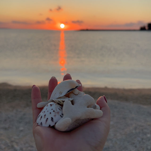 沖縄本島