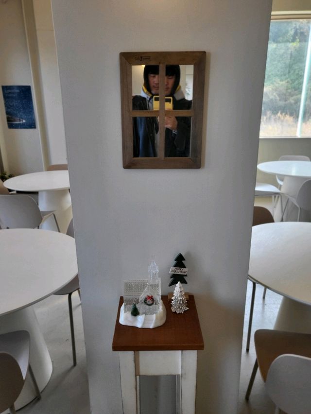 오션뷰와 트리 콜라보가 멋진 거제도카페