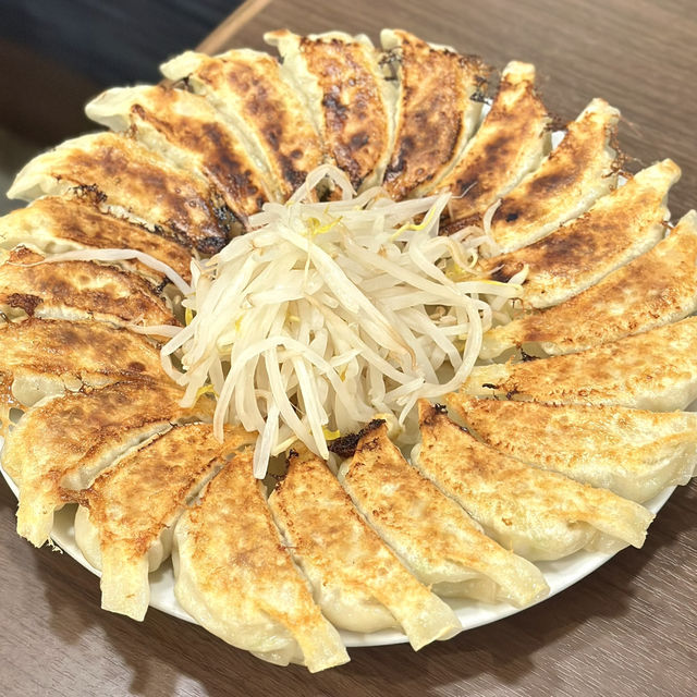 【浜松観光】˗ˏˋ なにわちゃんも食べた❗️うますぎ餃子🥟 ˎˊ˗