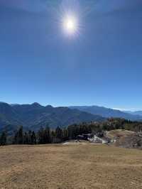 Qingjing Farm: A Mountain Escape with Sheeps