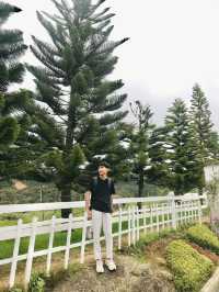 The Beauty of Kundasang, Sabah