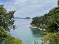 無比療癒的兔子島-大久野島