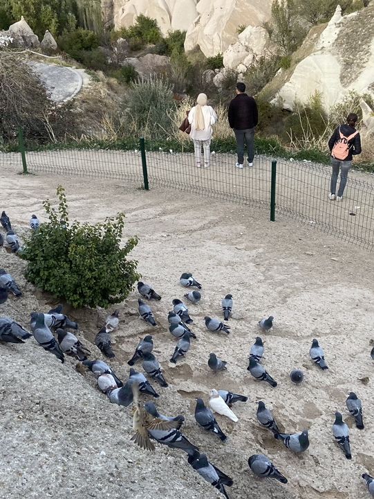 Pigeon Valley: A Walk Through Cappadocia