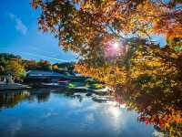 【愛知】四季折々の美を楽しむ中部地方最大級の日本庭園✨🌿