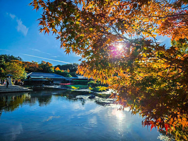 【愛知】四季折々の美を楽しむ中部地方最大級の日本庭園✨🌿