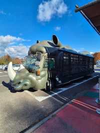 Kyushu Wildlife African Safari 🐆🐃🦬🦌🦓🐘🦒