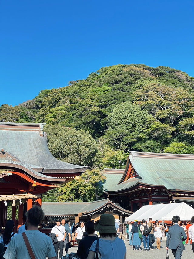 ไหว้พระ ขอพร ที่ศาลเจ้า | คามาคุระ ⛩️🏮