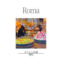 🇮🇹ローマに来たら絶対行きたい！トレビの泉⛲️✨