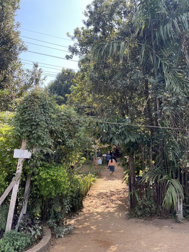Bolaven Plateau Coffee (Lak 40)