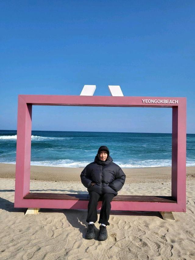 초록곰돌이 포토존이 있는 강릉 연곡해변