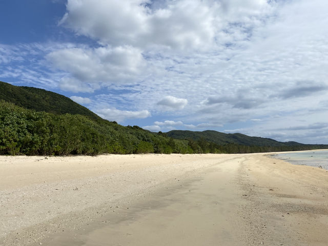 西表島