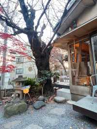 Nadoya no katte คาเฟ่ลับ Shibuya ☕️