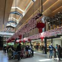 Chocolate Wonderland: A Sweet Escape at Beryl’s!