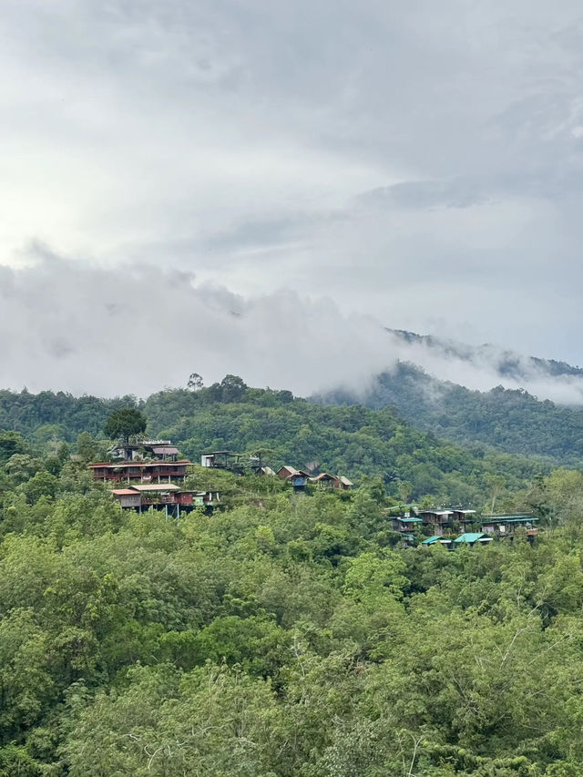 ”ภูรุ่งแจ้ง“ทะเลหมอกภาคใต้ สวยๆ โรแมนติกสุดๆ