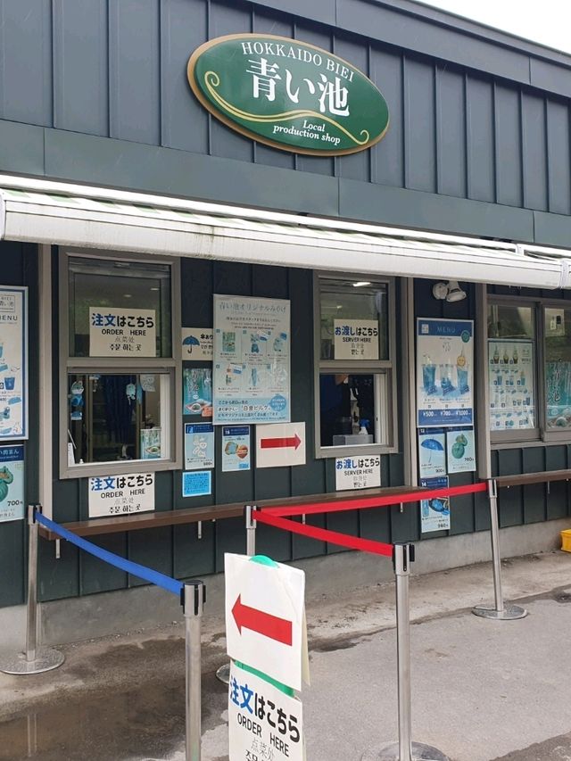훗카이도여행 필수코스!! 비에이 투어👍👍