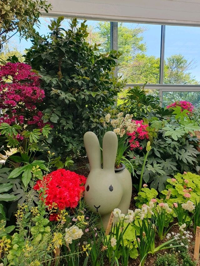 🌺 카멜리아힐에서 만난 봄의 정원 산책-제주도 감성 힐링 스팟