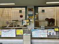 🇯🇵【愛媛県】子連れ旅行におすすめ！スタンプラリーが楽しい動物園🦁