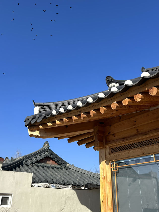 경주 한옥 독채 펜션 #더옐로우