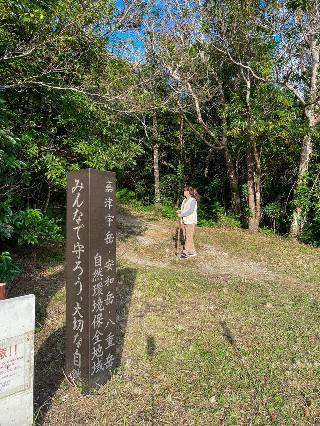 【沖縄】名護市 気分転換に最適！サクッと登れる絶景登山