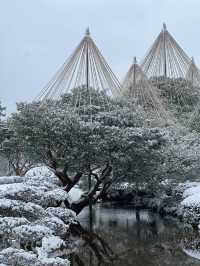 【金沢】幻想的な雪景色の兼六園