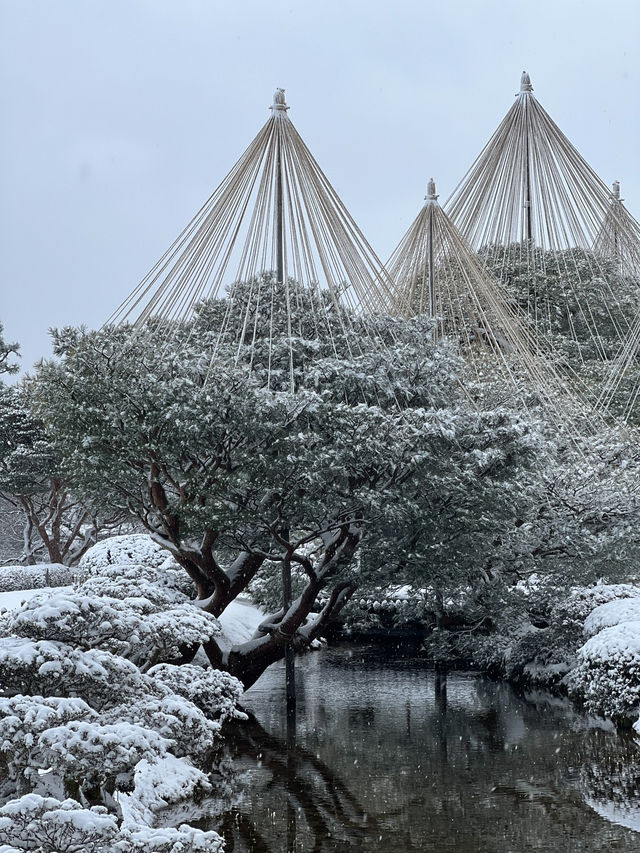 【金沢】幻想的な雪景色の兼六園