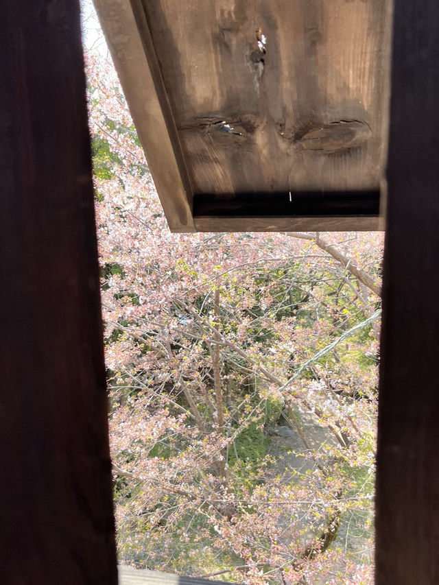 🏯 福岡城跡（舞鶴公園內）