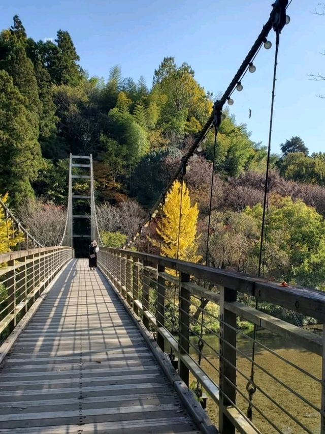 穴場のおすすめスポット