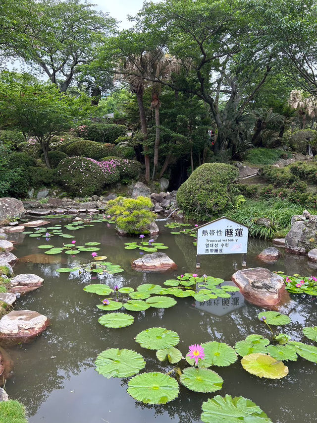 地獄めぐり、まずはここから【海地獄】