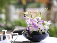 Elegant Café Experience at Ginza West Aoyama Garden