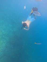 パラオ5泊7日旅