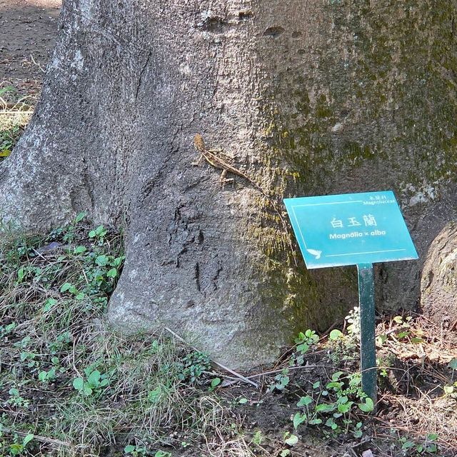 Taipei Botanical Garden