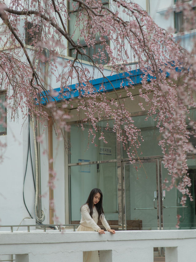 사진 찍기 좋은곳 추천